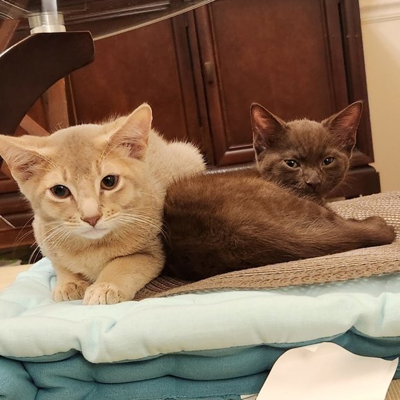 MEET YOUR POSHER, Tatiana ππ π»πΆπ - Picture 13 of 15